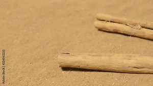 Canela en rama y molida, detalle