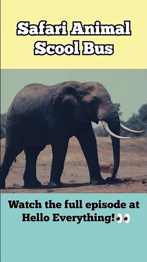 Safari Animals Come Home on School Bus to Mommy & Daddy! Learn Animal Names with Animal Videos