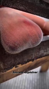 Three Things About People Who Get Angry Very Easily 😡 Drop a 'Yes' if you can relate to this video. Follow success.explainer DM for credit or removal request (no copyright intended for footage video or music) copyright ©️ All rights and credits reserved to the respective owner(s) #selfimprovement #inspiration #lifeadvice #mentality #success #motivation #growthmindset #repost | success.explainer