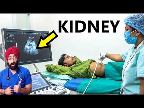 Understand Ultrasound KUB | Sonography of Kidney Ureters & Urinary Bladder | Stones | Dr.Education