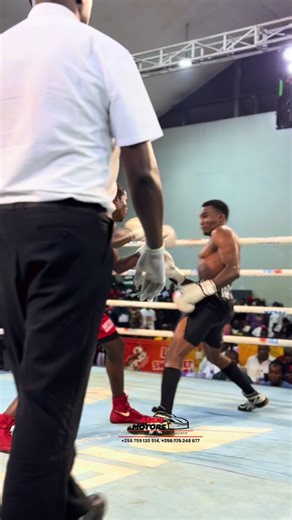 Bullet 🔥#sports #champions #boxing #viral #fyp @🕸 BUI BUI 🕸