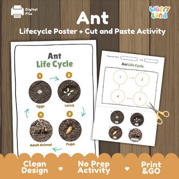 Ant Life Cycle Activity | Insect Metamorphosis Science Cut and Paste