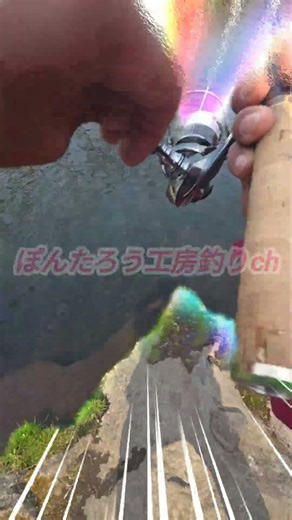 【エリアトラウト】ぽんたろうは春蔵王も当然絶好調！チャンネル登録者数390人突破でサンキュー祭り開催もお忘れなく！【蔵王フォレストスプリングス】
