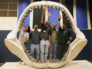 Giganten der Urzeit - Teil 2/2: Megalodon & Riesenfaultier | Doku