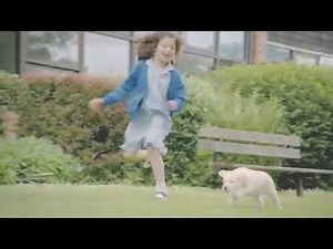 Andrex® Sparkling Stars TV advert 2014