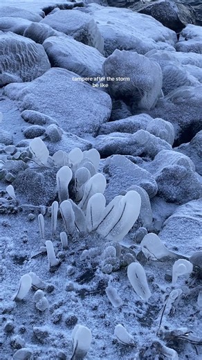 Tampere After the Storm: Capturing Beauty in Nature