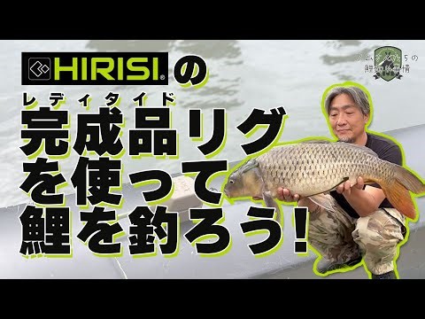 【鯉釣り】既製品でOK！ HIRISIの完成品リグで鯉を釣ろう！#carpfishing #カープフィッシング #鯉釣り #カープクエスト #HIRISI
