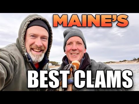 Digging Clams in Wells Maine, Maine Realestate, Maine Realtor, Maine Real Estate Agent