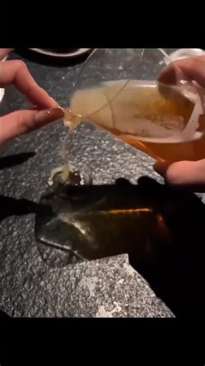 Tân Mùi 1991 Nên Nghe Và Suy Ngẫm 293