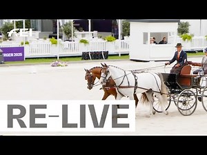 RE-LIVE | Dressage Day 2 I FEI Driving World Championship for Pairs