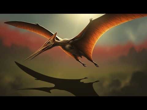 Quetzalcoatlus: The Flying Fortress of the Ancient Sky | Into The Creature World
