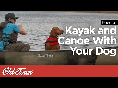 How to Canoe and Kayak With Your Dog