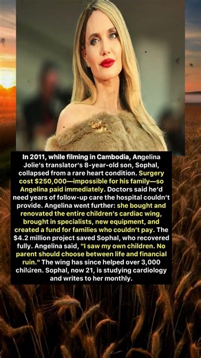 Angelina Jolie Saves Translator’s Son