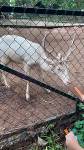 Cute things on Reels | Facebook