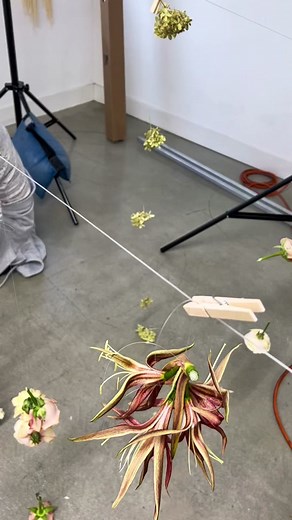 Orla floral on TikTok