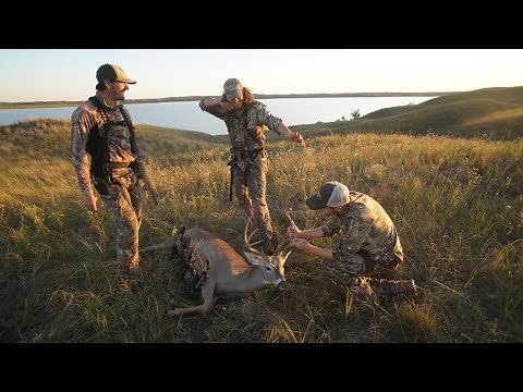 The Hunting Public: Introduction