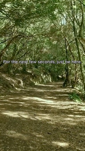 Take a 20-Second Mental Break 🌿