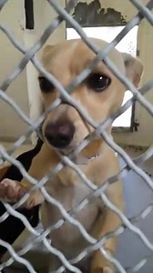 33 reactions · 100 shares | Sweet MONA is already 10 months old and...