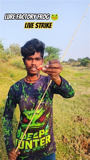 live feed hunting snakehead fishing caught #snakeheadfish #shortsvideo