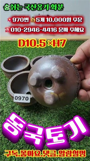 970번💰5개 10,000원 주문☎️010-2946-4416 문자 주세요