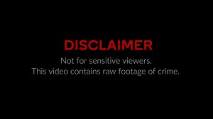 WAZE.O.S. (Case) Future Lions 2025