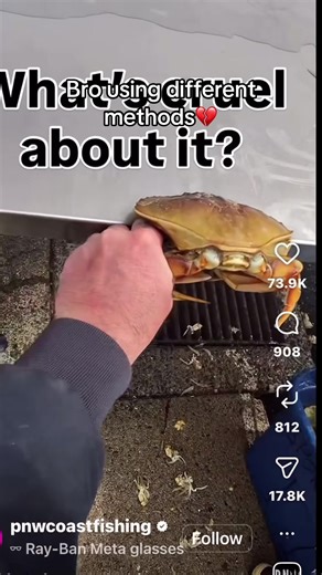 #naeemthedream1 | crab