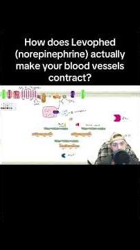 How Does Norepinephrine increase your blood pressure? #medicine #pharmacology #physiology #ICU