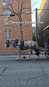 Every street has a story, and Charleston tells it best from a carriage ride through time. 🐎🐎 . . . . #charleston #CharlestonSC #carriage #carriageride #SouthCarolina #travel #traveldiaries | Kazi Sanjida