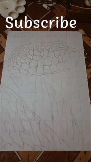 "snake hyparreatism drawing 😍🎨