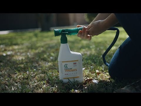 How to Use Cedarcide Yardsafe to Control Fleas, Ticks, Mosquitoes, Mites & Ants