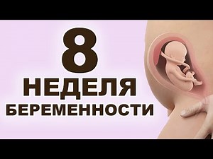 What happens to mom and baby at 8 weeks pregnant? 2 months pregnant. First trimester.