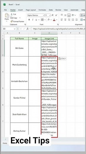Insert Image in Excel Using Link | IMAGE Function in Excel 365 🔥