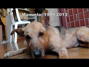 Eutanásia: o último dia da Manu