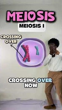 Biology Class - Meiosis Explained 📚 #science #biology #meiosis