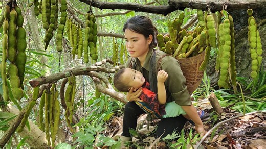 6.7K views · 281 reactions | Episode300 Harvesting Super Large Wild Tamarinds to Sell at the Market Cooking a Simple Countryside Dinner | Single mom Tv | Facebook