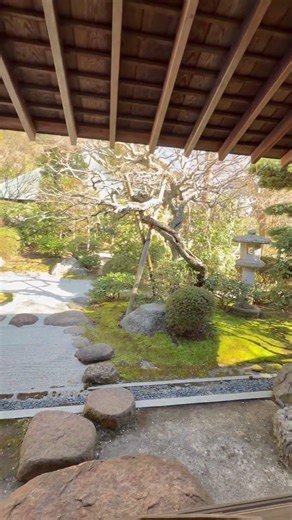 浄妙寺#浄妙寺#Jomyoji#鎌倉#Kamakura#鎌倉五山#喜泉庵#抹茶#枯山水#石窯ガーデンテラス#寺巡り#御朱印#鎌倉散策#日本庭園#鎌倉観光#癒やし#静寂#古都#週末旅行#国内旅行