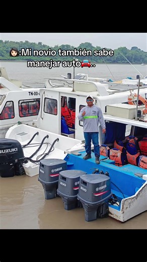 Understanding the Differences Between Wolves and Huskies