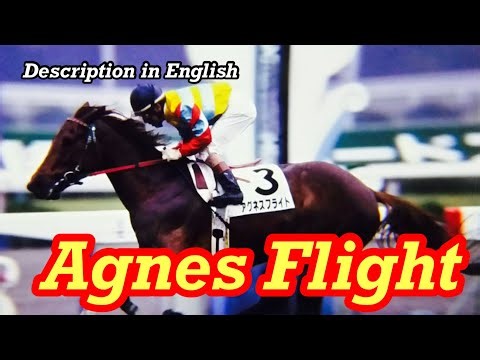 His run made one jockey's dream come true - Agnes Flight（アグネスフライト）