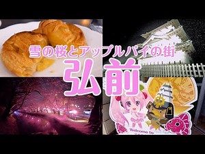 【青森県・弘前市】冬に咲く桜！？雪とアップルパイ1泊2日の旅へ