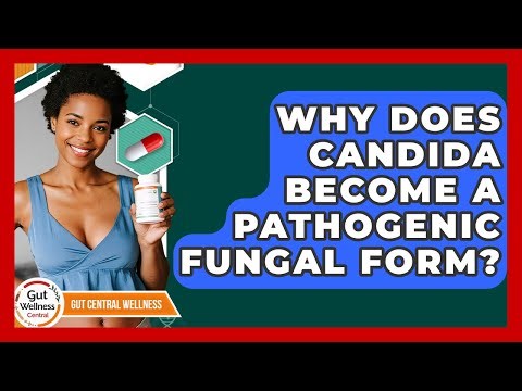 Why Does Candida Become A Pathogenic Fungal Form? - Gut Wellness Central