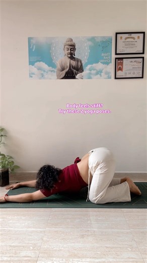 2 Yoga Poses for a Stiff Body | Cat-Cow & Extended Puppy Pose #yoga #yogapose