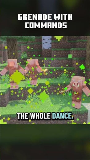 These commands turn your snowball into a working boogie bomb. #minecraft