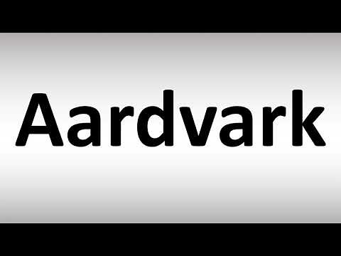 How to Pronounce Aardvark