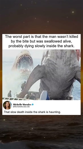 Man Swallowed Alive by Shark, Dies Slowly