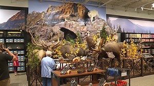 Dick’s Sporting Goods, Field & Stream Ready for Outdoor Shoppers