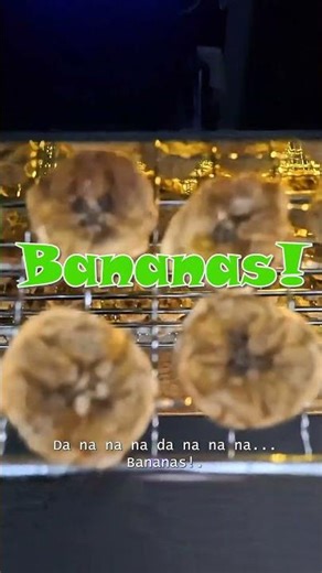 Da Na Na Na Da Na Na Na... Bananas! Batman! 🍌🦇 (Dehydrator 4011)