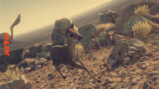 An Exceptional Species - One Second on Earth - Watch the full documentary | ARTE in English