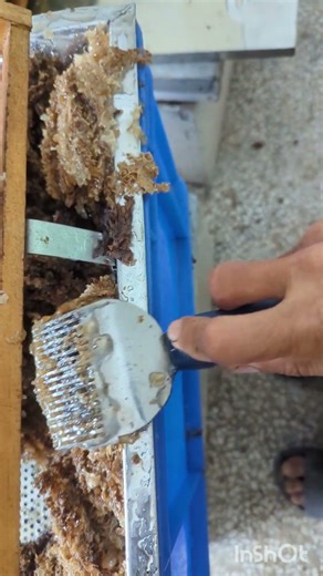 Honey Harvesting Process 🍯 | Uncapping Honey Frames with Knife | #Fresh Honey#shart#shartfeed
