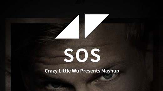 【Avicii】“七年已逝，你还能听到我的求救吗…？”(Mashup合辑)