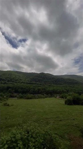 Lush green jungle views of Malaysia 🌿🌴 Pure nature bliss.